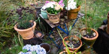 Der Garten im Herbst: So bereitest du ihn optimal auf das Frühjahr vor!