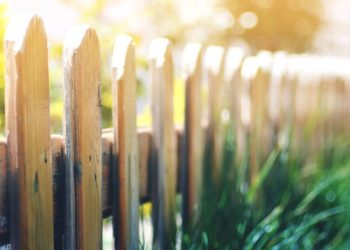 Ungestört mit der Familie: 5 Tipps für schöne Grundstücksbegrenzungen