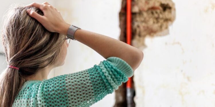 Selbst ist die Frau – was ist nach einem Wasserschaden in der Mietwohnung zu tun