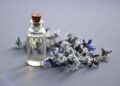 Parfum-Trends 2023/2024