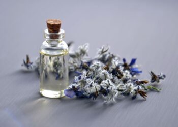 Parfum-Trends 2023/2024