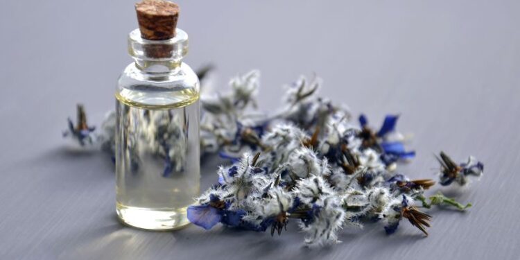 Parfum-Trends 2023/2024